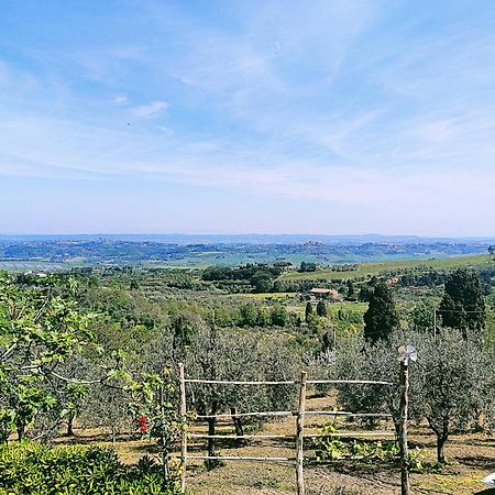 La Casina Di Colle - Appartamento Rustico Sulle Colline Di Pisa Casciana Terme Exteriér fotografie